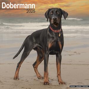 Kalendar 2025 Dobermann