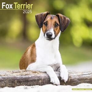 Kalendar 2025 Fox Terrier