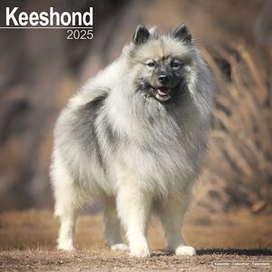 Kalendar 2025 Keeshond