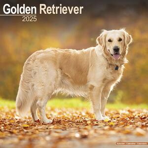 Kalendar 2025 Golden Retriever