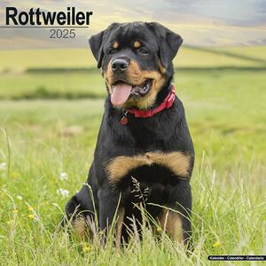 Kalendar 2025 Rottweiler