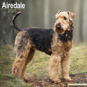 Kalendar 2025 Airedale