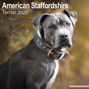 Kalendar 2025 American Staffordshire Terrier