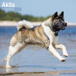 Kalendar 2025 Akita