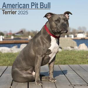 Kalendar 2025 American Pit Bull Terrier