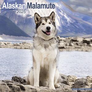 Kalendar 2025 Alaskan Malamute