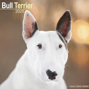 Kalendar 2025 Bull Terrier