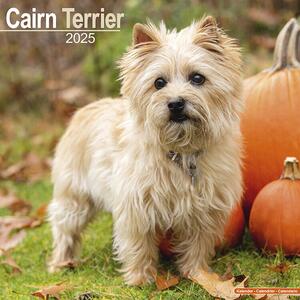 Kalendar 2025 Cairn Terrier