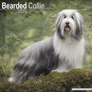 Kalendar 2025 Bearded Collie