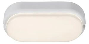 HORT VANJSKA ZIDNA SVJETILJKA / VANJSKE STROPN LED 15/BIJELA/IP54/1300lm RA7408