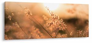 Slika - Trava na suncu (120x50 cm)