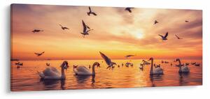 Slika - Labudovi (120x50 cm)