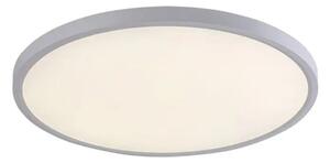 PAULOS STROPNA SVJETILJKA LED 48/BIJELA/IP20/4150lm RA71075