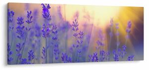 Slika - Lavanda (120x50 cm)