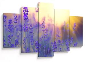 Slika - Lavanda (150x105 cm)