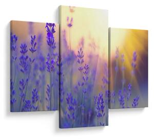 Slika - Lavanda (90x60 cm)