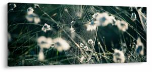 Slika - Paučina (120x50 cm)