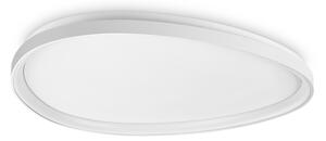 GEMINI LED PLAFONJERA PL D081 ON-OFF BIJELA ID328072