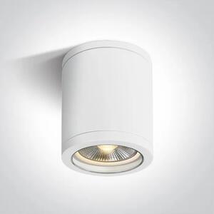STROPNA SVJETILJKA 1XE27 10W PAR30 IP65 BIJELA DM67142C/W