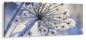 Slika - Smrznuti cvijet (120x50 cm)