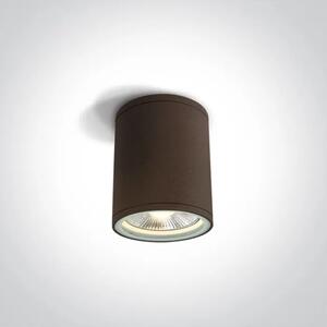 STROPNA SVJETILJKA 1XE27/75W/PAR30/230V IP54 SMEĐA DM67132C/BR