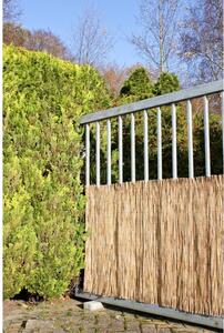 Balkonski paravan od pruća u prirodnoj boji 300x100 cm - Garden Pleasure