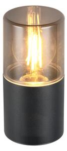 Vanjska svjetiljka (visina 17,5 cm) Hoosic – Trio