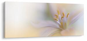 Slika - Nježni cvijet (120x50 cm)