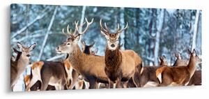 Slika - Krdo jelena (120x50 cm)