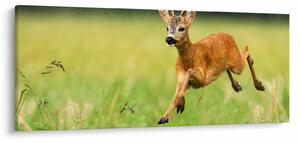 Slika - Bambi (120x50 cm)