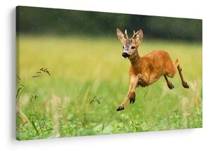 Slika - Bambi (90x60 cm)