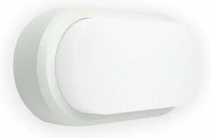 FRED LED WHITE ZIDNA SVJETILJKA FR70664