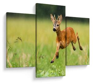 Slika - Bambi (90x60 cm)