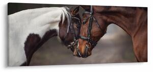 Slika - Zaljubljeni konji (120x50 cm)