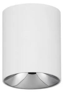 ANETO STROPNI REFLEKTOR BIJELI LED 10W 600lm 3000K IP20 NL9695150
