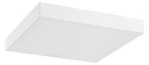 TARTU VANJSKA STROPNA SVJETILJKA LED 24/MAT BIJELA/IP44/2500lm RA7896