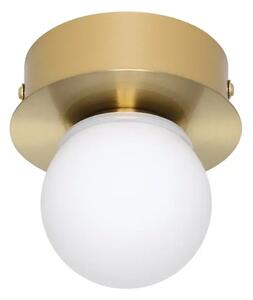 PLAFONJERA 1xLED 3,3W, 340lm, MESING/BIJELA MOSIANO 900658
