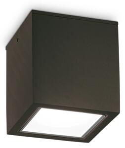 TECHO STROPNA LAMPA PL1 VELIKA CRNA GU10 IP54 ID251530