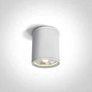 STROPNA SVJETILJKA 1×E27/75W/PAR30/230V IP54 BIJELA DM67132C/W