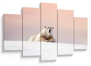 Slika - Polarni medvjed (150x105 cm)