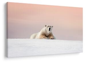 Slika - Polarni medvjed (90x60 cm)