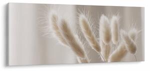 Slika - Zečji repovi (120x50 cm)