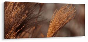 Slika - Pampas trava (120x50 cm)