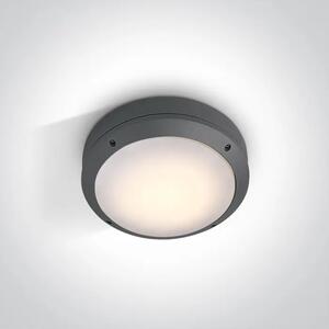 PLAFONJERA LED E27/60W/220V IP54 ANTRACIT DM67204/AN