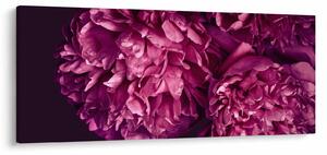 Slika - Buket božura (120x50 cm)