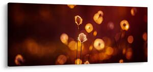 Slika - Jutro (120x50 cm)