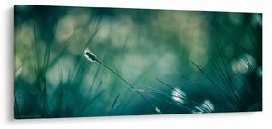 Slika - Detalj trave (120x50 cm)