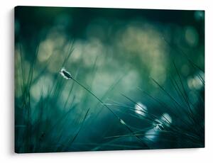 Slika - Detalj trave (70x50 cm)