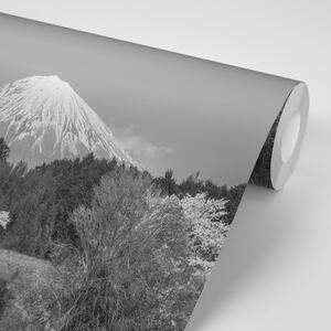 Fototapeta planina Fuji u crno-bijelom