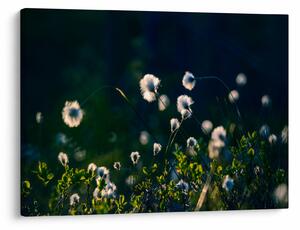 Slika - Trava (70x50 cm)